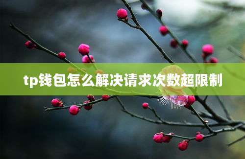 tp钱包怎么解决请求次数超限制