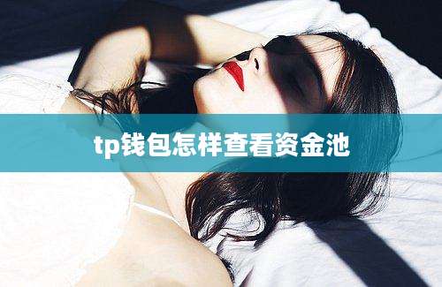 tp钱包怎样查看资金池