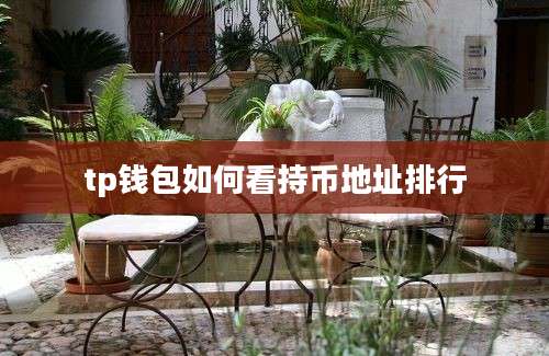 tp钱包如何看持币地址排行