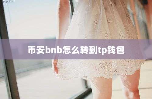币安bnb怎么转到tp钱包