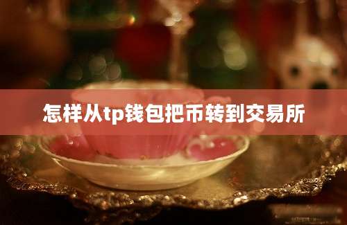 怎样从tp钱包把币转到交易所