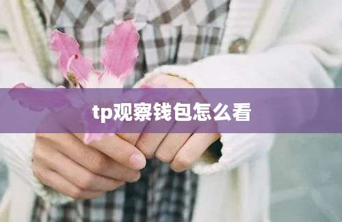 tp观察钱包怎么看