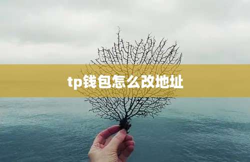 tp钱包怎么改地址
