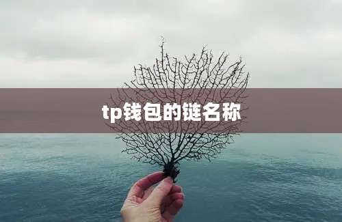 tp钱包的链名称