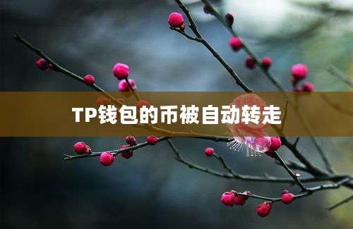 TP钱包的币被自动转走
