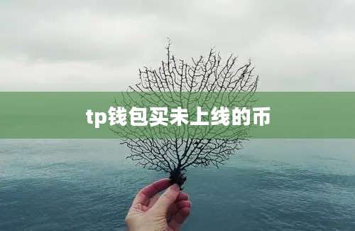 tp钱包买未上线的币