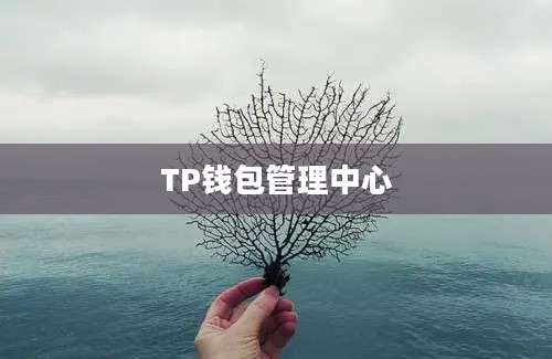 TP钱包管理中心