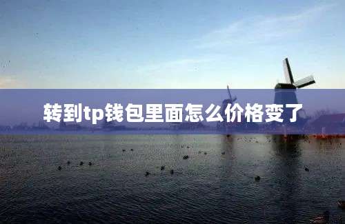 转到tp钱包里面怎么价格变了