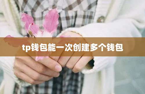 tp钱包能一次创建多个钱包