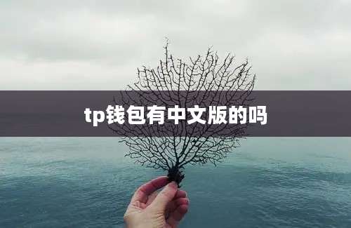 tp钱包有中文版的吗
