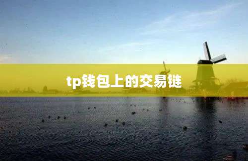 tp钱包上的交易链