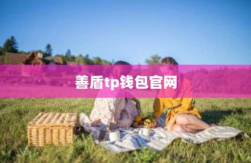 善盾tp钱包官网