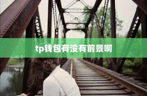 tp钱包有没有前景啊