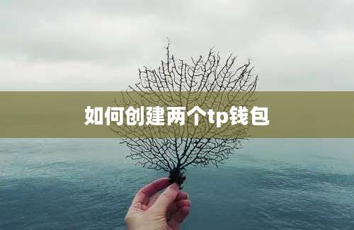 如何创建两个tp钱包