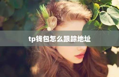 tp钱包怎么跟踪地址