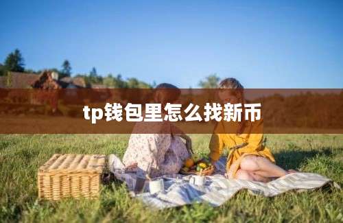 tp钱包里怎么找新币