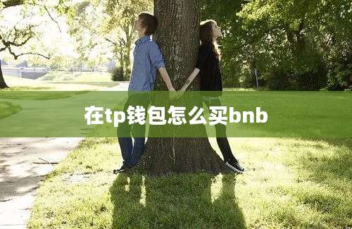 在tp钱包怎么买bnb