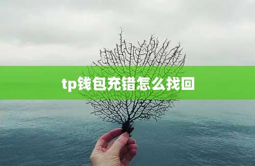tp钱包充错怎么找回