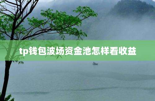 tp钱包波场资金池怎样看收益