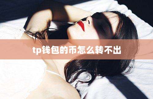 tp钱包的币怎么转不出