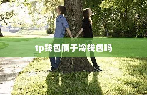 tp钱包属于冷钱包吗