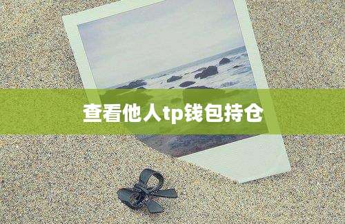查看他人tp钱包持仓