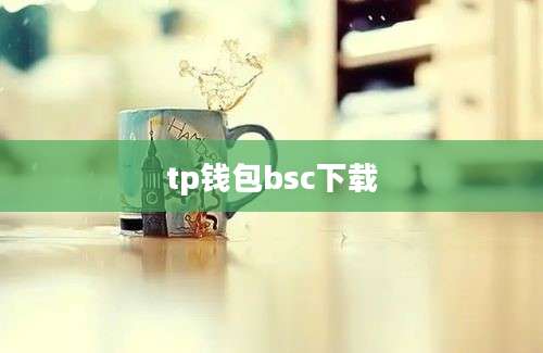 tp钱包bsc下载