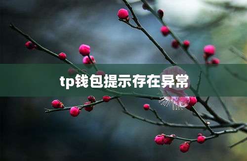 tp钱包提示存在异常