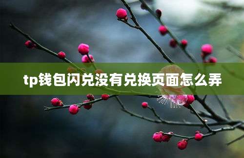 tp钱包闪兑没有兑换页面怎么弄