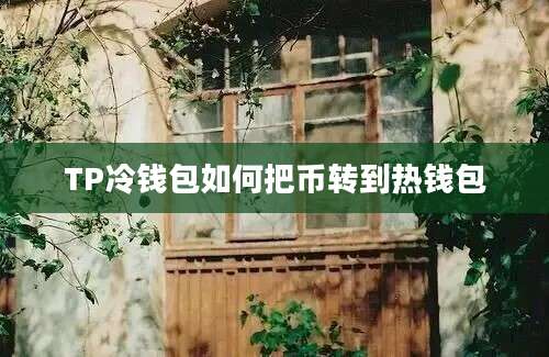 TP冷钱包如何把币转到热钱包