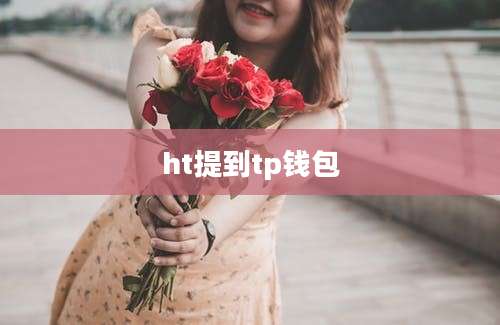 ht提到tp钱包