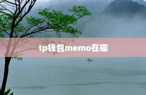 tp钱包memo在哪