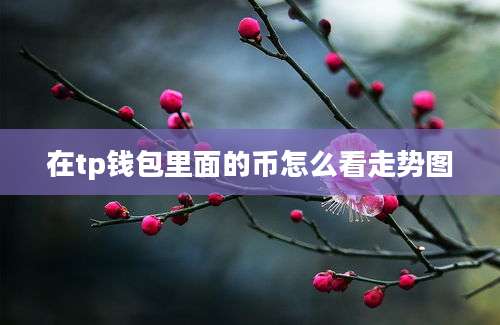 在tp钱包里面的币怎么看走势图