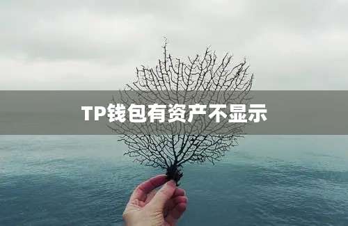 TP钱包有资产不显示