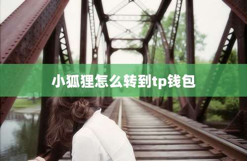 小狐狸怎么转到tp钱包