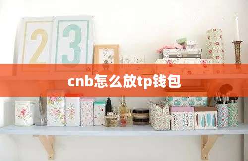 cnb怎么放tp钱包