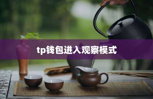 tp钱包进入观察模式