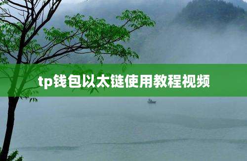 tp钱包以太链使用教程视频