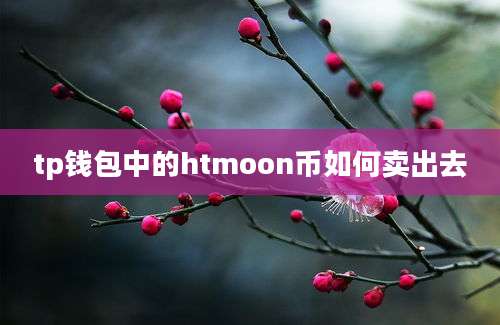 tp钱包中的htmoon币如何卖出去
