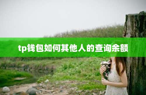 tp钱包如何其他人的查询余额