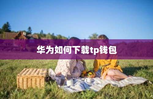 华为如何下载tp钱包