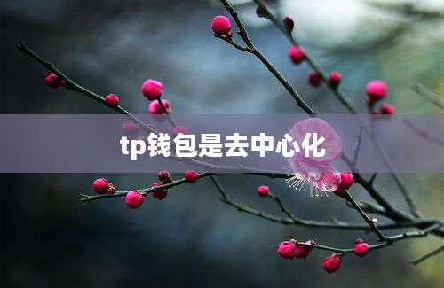 tp钱包是去中心化