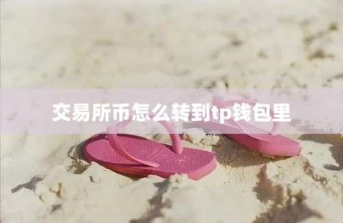 交易所币怎么转到tp钱包里
