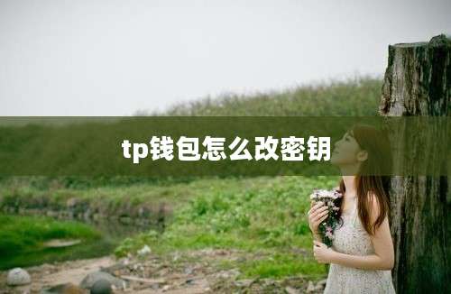 tp钱包怎么改密钥