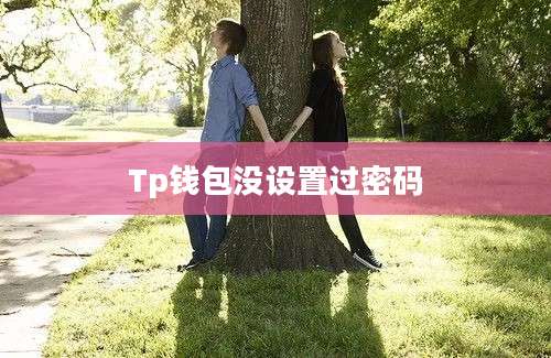 Tp钱包没设置过密码