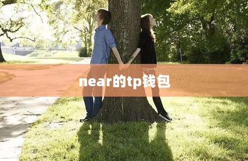 near的tp钱包