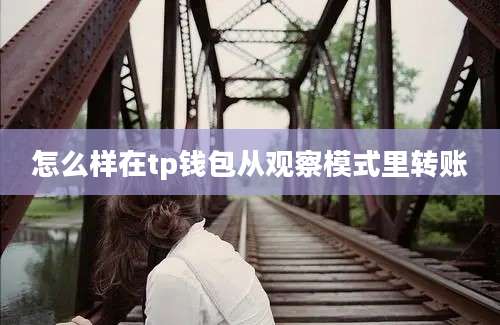 怎么样在tp钱包从观察模式里转账