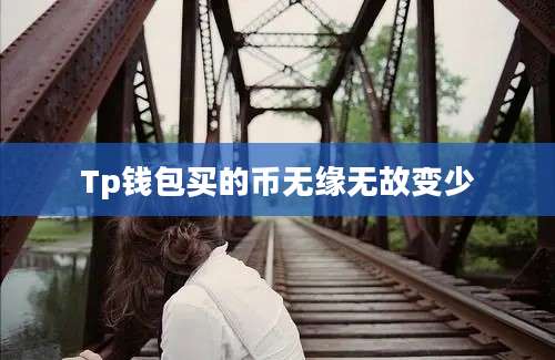 Tp钱包买的币无缘无故变少