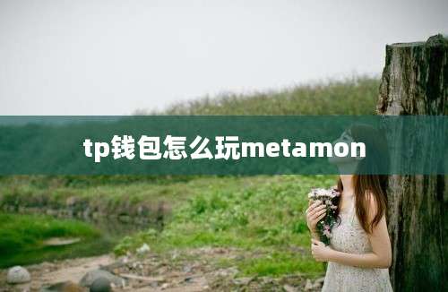 tp钱包怎么玩metamon