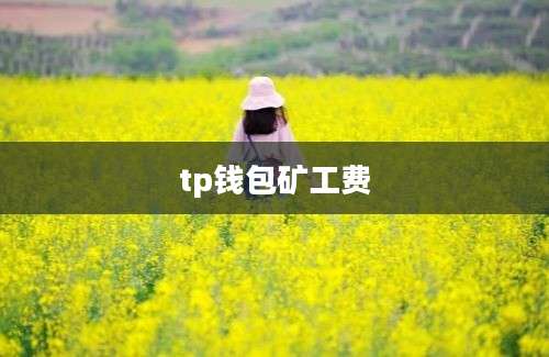 tp钱包矿工费